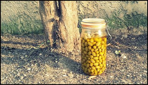 Comment Faire Pour Rendre Les Olives Comestibles - Comment préparer ses olives ? | Cooking Mumu