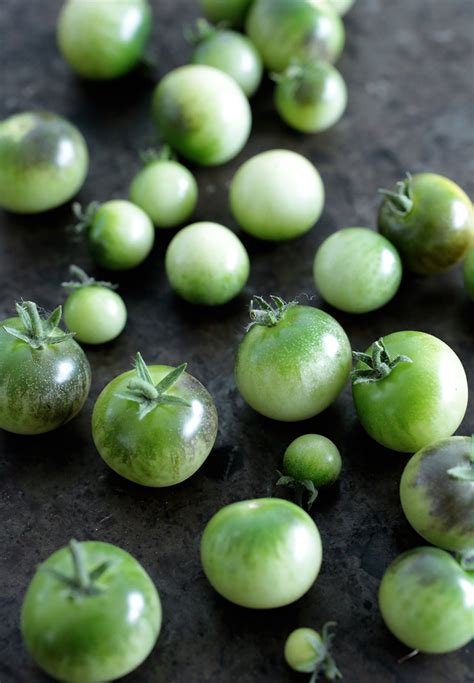 Quick Pickled Green Tomatoes Green Evi