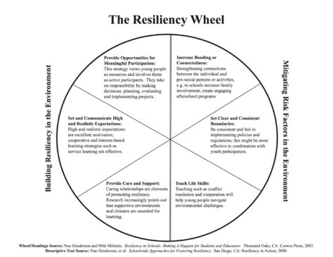 The Resiliency Wheel