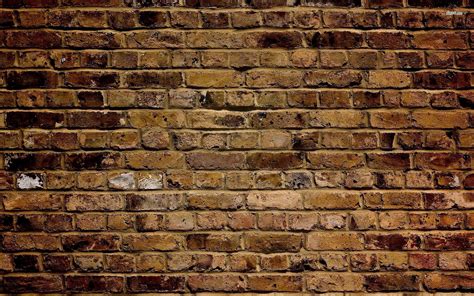 Free Download Brick Wall Wallpaper 2560x1600 More46 Background Brick