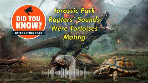Did You Know Jurassic Park Raptors Sounds Were Tortoises Mating Youtube