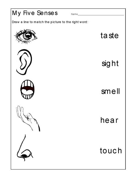 Preschool Printable Five Senses Worksheets