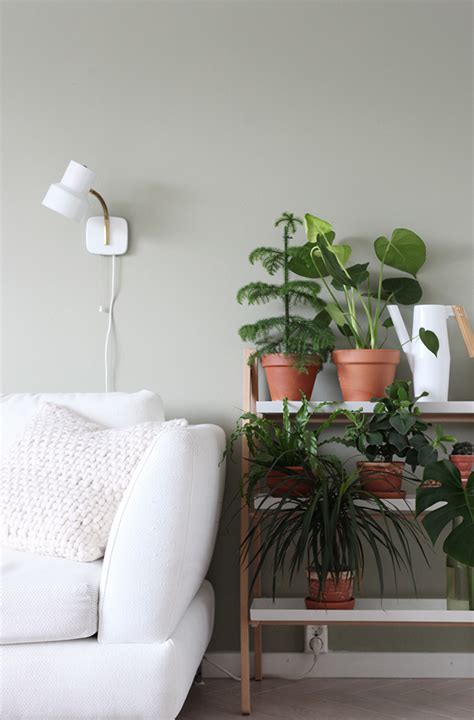 Plant Shelf Ideas Decordove