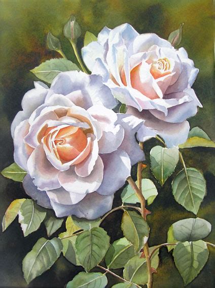 Rose Clair Renaissance White Apricot Coloured Original Rose Painting