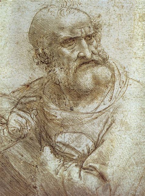 One Interest The Drawings Of Leonardo Da Vinci