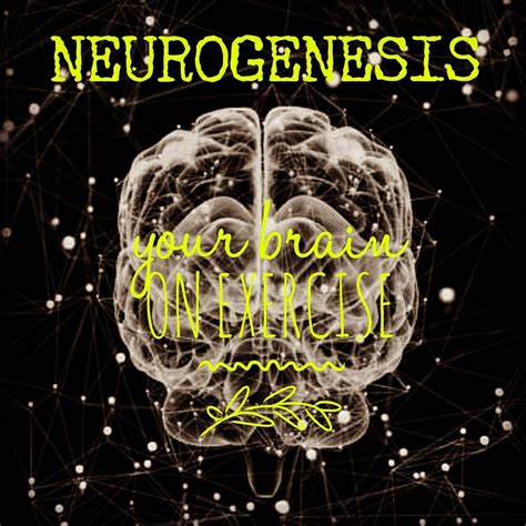 Heal Your Brain Make New Neurons Through Exercise Healing Therapy