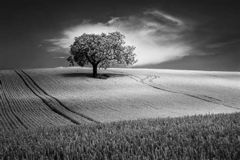 Shooting Black And White Landscapes Photocrowd Photography Blog