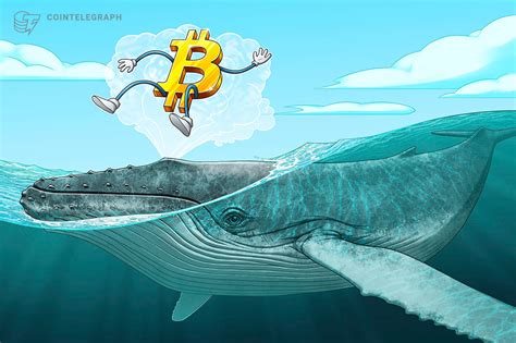  may 19, 2021  will bitcoin or dogecoin rise in value? Whales appeared after the recent rise in bitcoin price ...