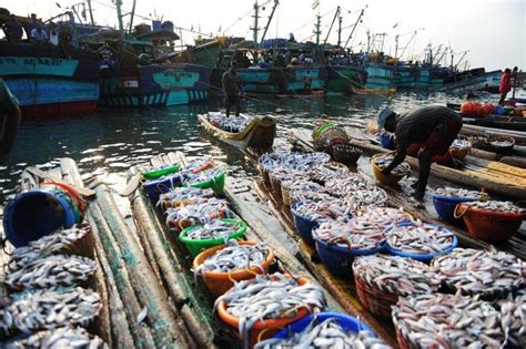 Entra En Vigor Pirmer Tratado Mundial Vinculante Contra Pesca Ilegal