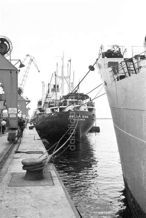 Ddr Bildarchiv Rostock Dänisches Schiff Bella Dan Im Hochseehafen