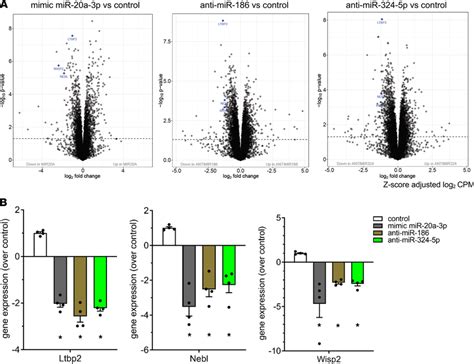 overexpression of mir 20a 3p and inhibition of mir 186 and mir 324 5p download scientific