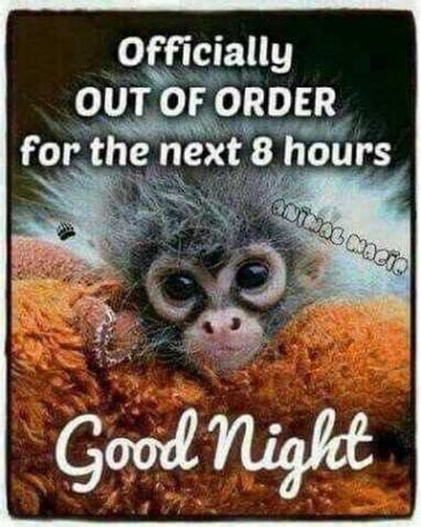 Good Night Memes For When You Want Funny Goodnight Wishes Artofit
