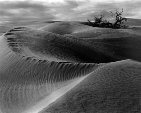 Edward Weston Dunes 1938 1 Photography Gallery White Photography