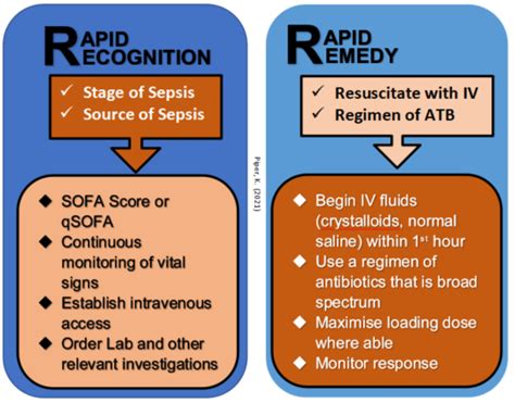 Sepsis An Overview And Update International Emergency Medicine