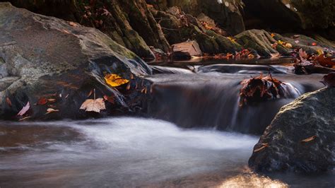 Autumn Dry Leaves On Stones Rocks Water Stream 4k Hd Nature Wallpapers