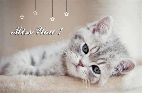45 Cute Miss You Meme Pictures Images Wallpapers Picsmine