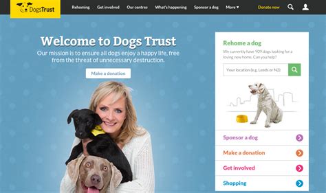 Dogs Trust Relaunch Website Ballymena Today