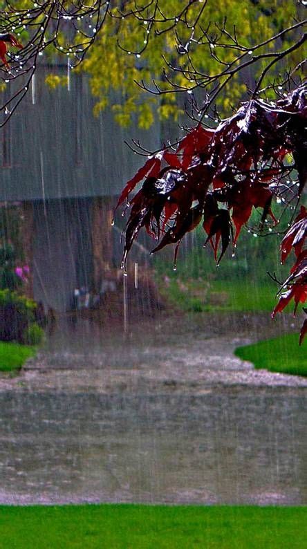 Dashti33 • Zedge™ Wallpapers And Ringtones Rain Wallpapers Beautiful Scenery Nature Rainy