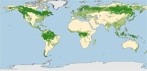 Rurosmu Las Principales Áreas Forestales Del Mundo