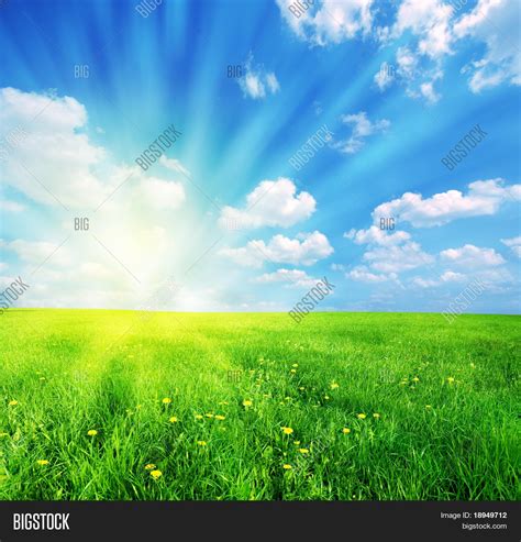 Green Grass And Blue Sunny Sky Spring Landscape Perfect For