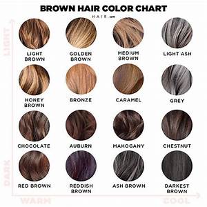 Let This Brown Hair Color Chart Guide Your Next Hair Change Hair Com