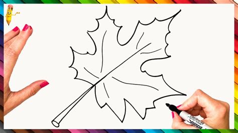 How To Draw An Autumn Leaf Step By Step 🍁 Leaf Drawing Easy Youtube