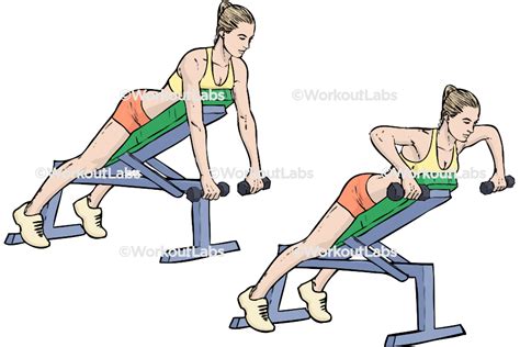 Dumbbell Incline Bench Rows Workoutlabs Exercise Guide