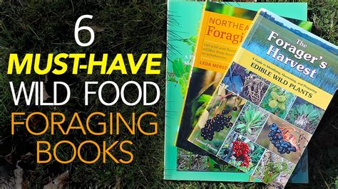 Livestock production in maine, whether dairy, beef or sheep, depends on forage crops. 6 Must-Have Wild Food Foraging Books - YouTube