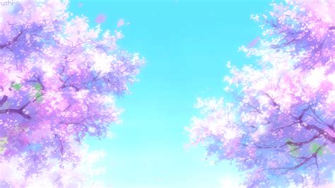 Bakachi ᴥ Photo S Espetaculares S De Flores Cenário Para
