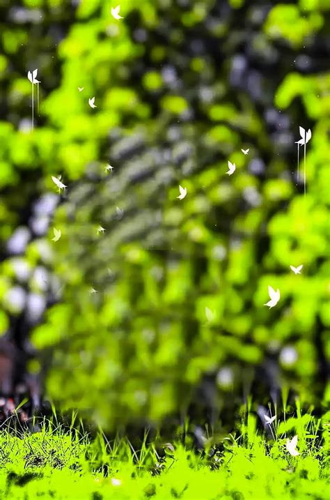 Green Snapseed Picsart Edits Background Hd Download Cbeditz