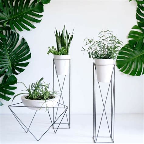 99 Great Ideas To Display Houseplants Indoor Plants Decoration