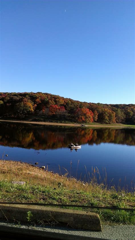 Wildlife Rescue St Louis County | IUCN Water