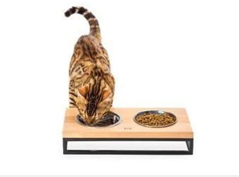 Cat Food Bowl Stand Style Modern Inr 500inr 1000 Piece By S A