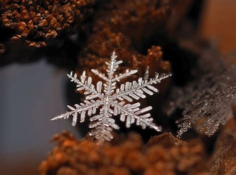 Macro Photos Of Individual Snowflakes Twistedsifter