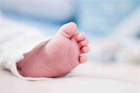 Bebé Prematuro Que Fue Dado Por Muerto Es Encontrado Vivo En Una