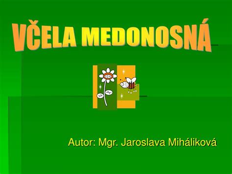 PPT Autor Mgr Jaroslava Miháliková PowerPoint Presentation free