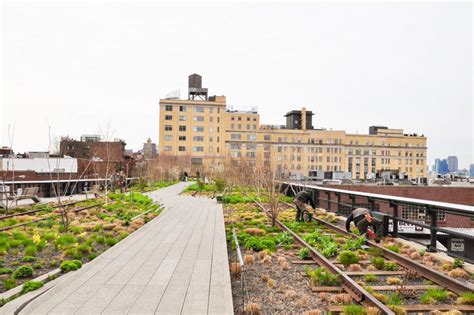 Découvrir La High Line De New York