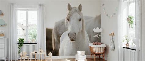 Horse Fototapeten Online Photowall