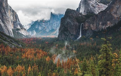 Wilderness Mountains Forest Yosemite National Park Yosemite Valley