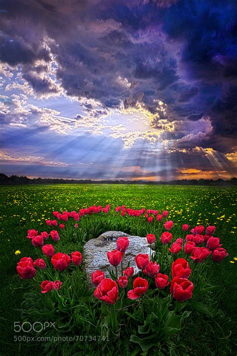 Artistic Realistic Nature For You Are With Me By Phil Koch On 500px