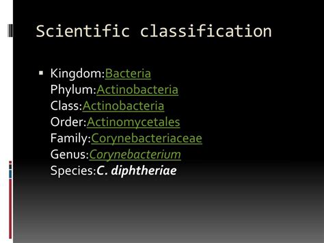 Ppt Corynebacterium Powerpoint Presentation Free Download Id981267