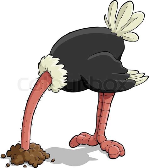 Stock Vector Of Ostrich Ostrich Illustration Cartoon