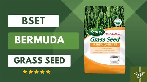 Top 5 Best Bermuda Grass Seed 2024 Updated Youtube