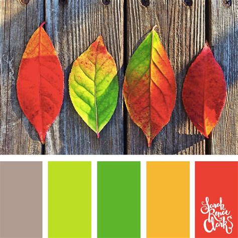 Autumn Leaves Color Palette