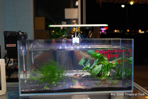 Fish aquatirum, aquarium filter, fish tank decotations are hot selling. New Arrivals of Rimless Nano Tanks & Nano Aquarium ...