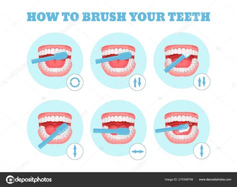 Step By Step Scheme Instructions On How To Brush Your Teeth Properly Stock Vector By ©ideyweb