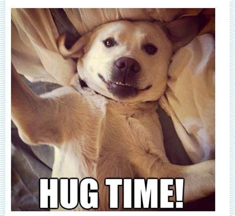 Hug Time Silly Dogs I Love Dogs Happy Dogs
