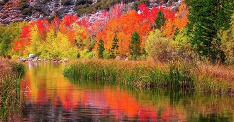 Best Bets For Fall Foliage In The Bay Area And Northern California Sfgate