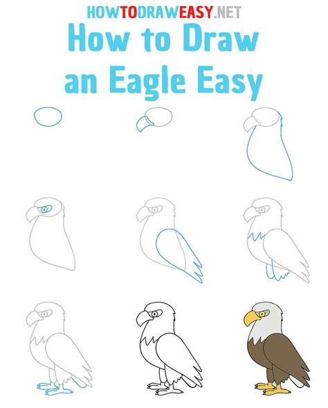 Eagle Drawing Step By Step