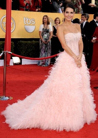 Angie Harmon Arrives At The 2011 Screen Actors Guild Awards Celeb
